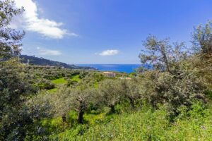 FAI CAMPANIA: il programma di appuntamenti in tutta la regione dedicati alla Biodiversità