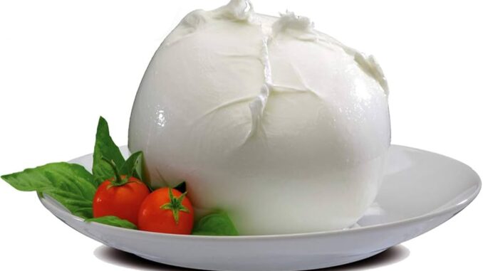 MOZZARELLA DOP