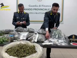 Piantagione nel Sannio scoperta dai finanzieri, un denunciato