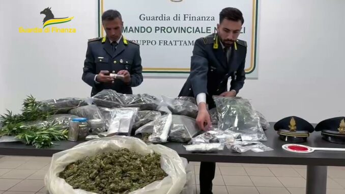 Piantagione nel Sannio scoperta dai finanzieri, un denunciato